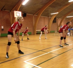 volley2